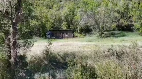 Abandoned Shack Vídeos de archivo 133649736