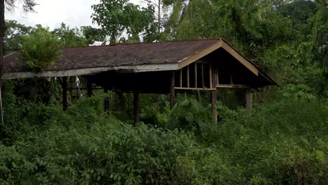 Abandoned Shack Stock Footage 141387160