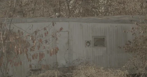 Abandoned Shack Stock Footage 233102233