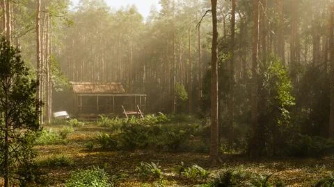 An abandoned shack in the woods next to which is an old rusty car - 3d illu.. Stock Illustration