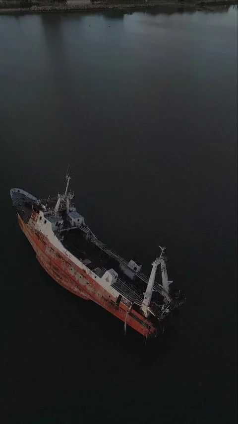 Abandoned ship and seagull Stock Footage 272406598