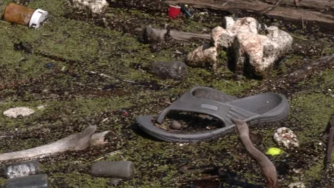 Abandoned shoes floating in a river Stock Footage 326966421
