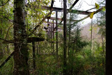 Abandoned shooting range 2 Stock Photos