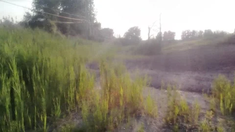Abandoned, Shooting Range, Locked Gated Entrance, Construction, Harvey IL Video stock 247259645