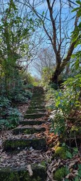 Abandoned staircase 스톡 사진