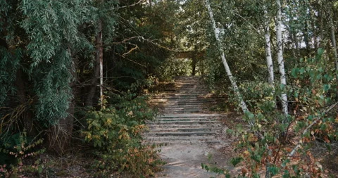 Abandoned stairs in the forest Stock Footage 138994388