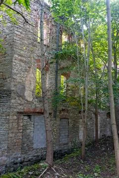 Abandoned stone brick building facade with trees Stock Photos