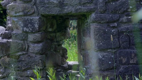 Abandoned Stone Building Stock Footage 97850570