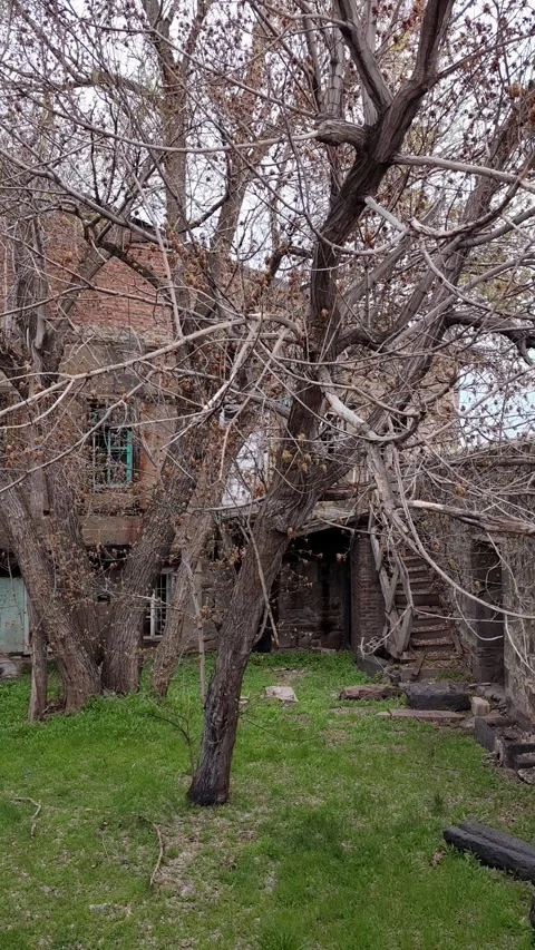 Abandoned stone house and courtyard with bare trees and green grass Stock Footage 345667347