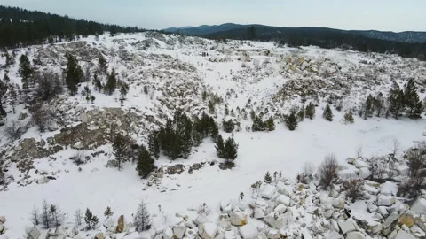 Abandoned stone quarry. Mining site is beginning to overgrow with conifer forest Stock Footage 220004512