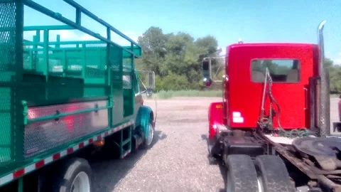 Abandoned, Stored, Assorted Trucks, Fire, Dump, Tractor, Supply, Harvey IL Stock-Footage 247023058