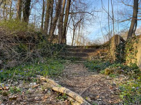 Abandoned structure deep in the woods Stock Photos