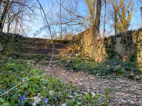 Abandoned structure deep in the woods Stock Photos