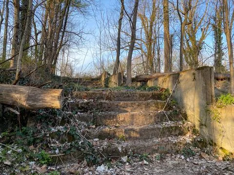 Abandoned structure deep in the woods Stock Photos