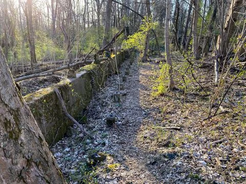 Abandoned structure deep in the woods Stock Photos