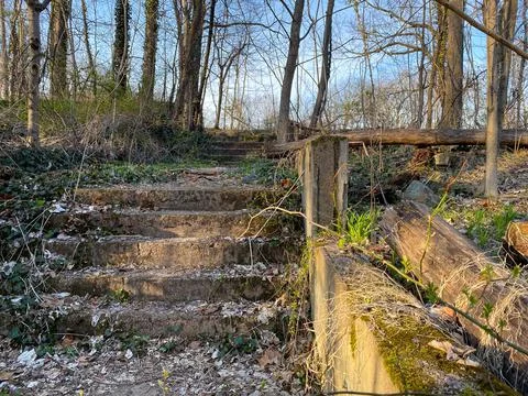 Abandoned structure deep in the woods Stock Photos