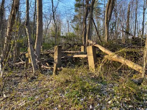Abandoned structure deep in the woods Stock Photos
