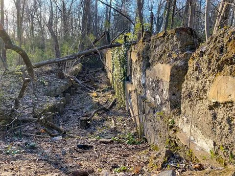 Abandoned structure deep in the woods Stock Photos