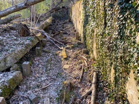 Abandoned structure deep in the woods Stock Photos