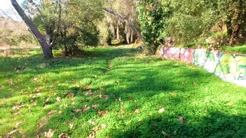 Abandoned Structure demolished Video stock 151522850