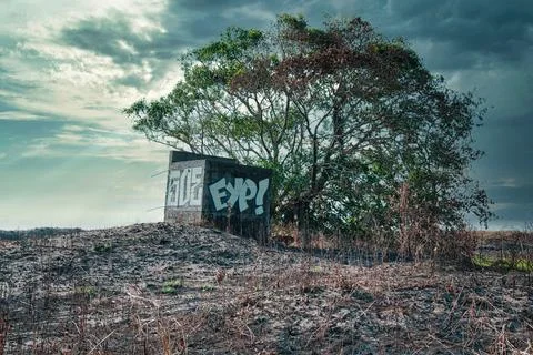 Abandoned Structure Isolated on Fire-burned Darwin Beach Stock Photos