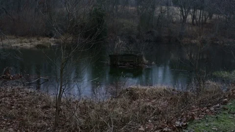 Abandoned Structure in a Pond in the Rain Woods Forest 動画素材 103635800