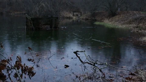 Abandoned Structure in a Pond in the Rain Woods Forest 動画素材 103635960