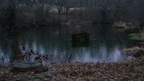 Abandoned Structure in a Pond in the Rain Woods Forest 動画素材 103636028