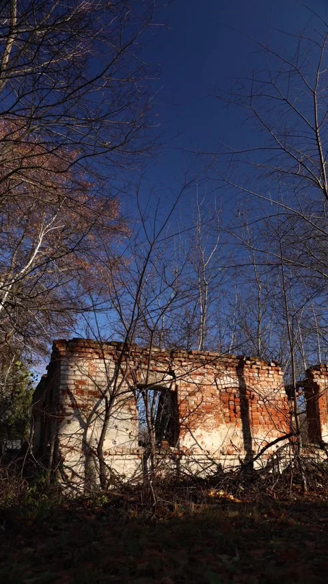 An Abandoned Structure Standing Proudly Amidst Natures Embrace Invites Stock Footage 291991488