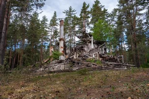 Abandoned structure stands in dense pine forest Stock Photos