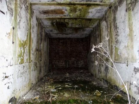 Abandoned Structure's Silent Echo Stock Photos