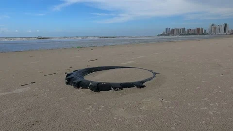 Abandoned Tire on the Shoreline Stock Footage 301732563