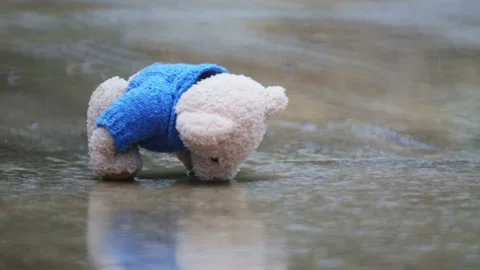 Abandoned toy bear in a puddle in the rain. Stock Footage 107372422