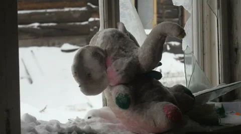 Abandoned toy. Stock Footage 61148236