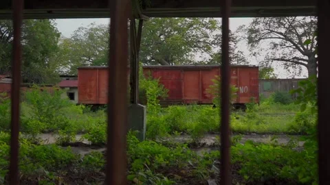 Abandoned Train Carriage Covered by Vegetation Stock Footage 293387491