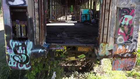 Abandoned train in marbella Stock Footage 160861587