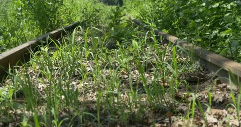 Abandoned Tram Railways Stock Footage 110841963