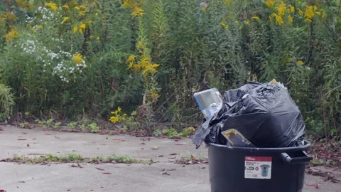 Abandoned trashcan in the woods Video stock 210934262