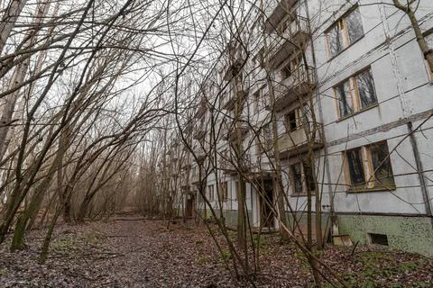 Abandoned tree-lined yard of Chernobyl 2. Chernobyl, Ukraine. Stock Photos