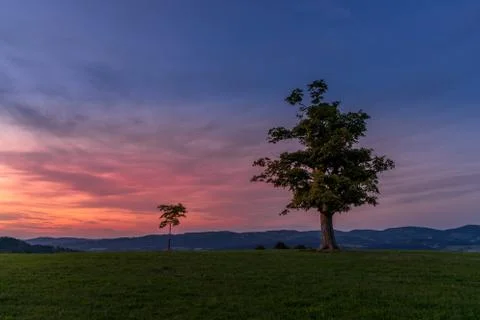 Abandoned tree on a mountain ridge captured during orange and purple sunset i 스톡 사진