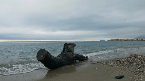 Abandoned trunk on the beach with the sea waves Stock-Footage 288488339