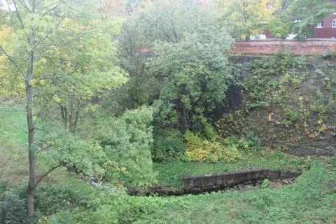 Abandoned Undergrowth Stock Photos