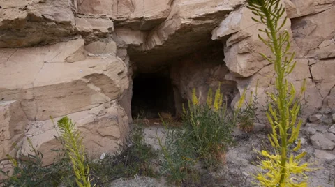 Abandoned Uranium Mine Wild West Utah Pan Shot with Foreground Weeds Stock Footage 38017664