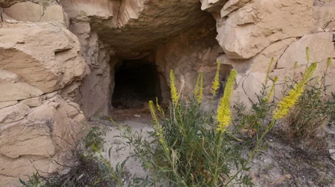 Abandoned Uranium Mine Wild West Utah Locked Shot with Weeds Stock Footage 38017709