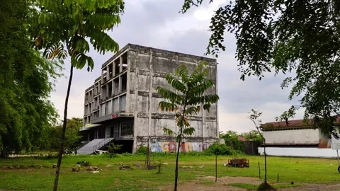 Abandoned Urban Building Surrounded by Trees and Grass on an Overcast Day Stock Footage 302461807