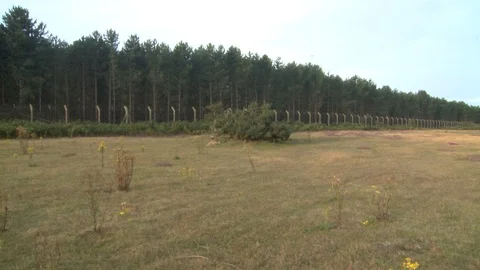 Abandoned USAF Base in forest Stock Footage 98085874