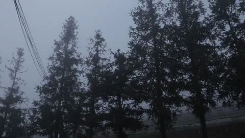 Abandoned valley view 스톡 동영상 154231114