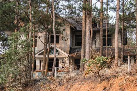 Abandoned Villa Behind Pine Trees in Da Lat Photos