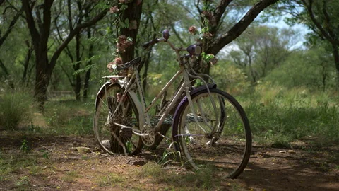 Abandoned Wedding Bike Stock Footage 235919600