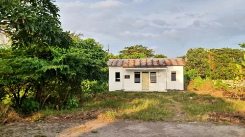 Abandoned White House Surrounded by Lush Nature in Rural Village Stock Footage 333466435